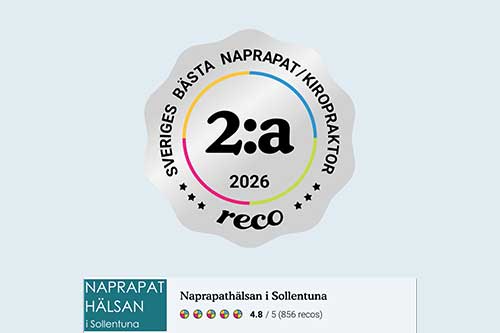 Årets bästa Naprapat