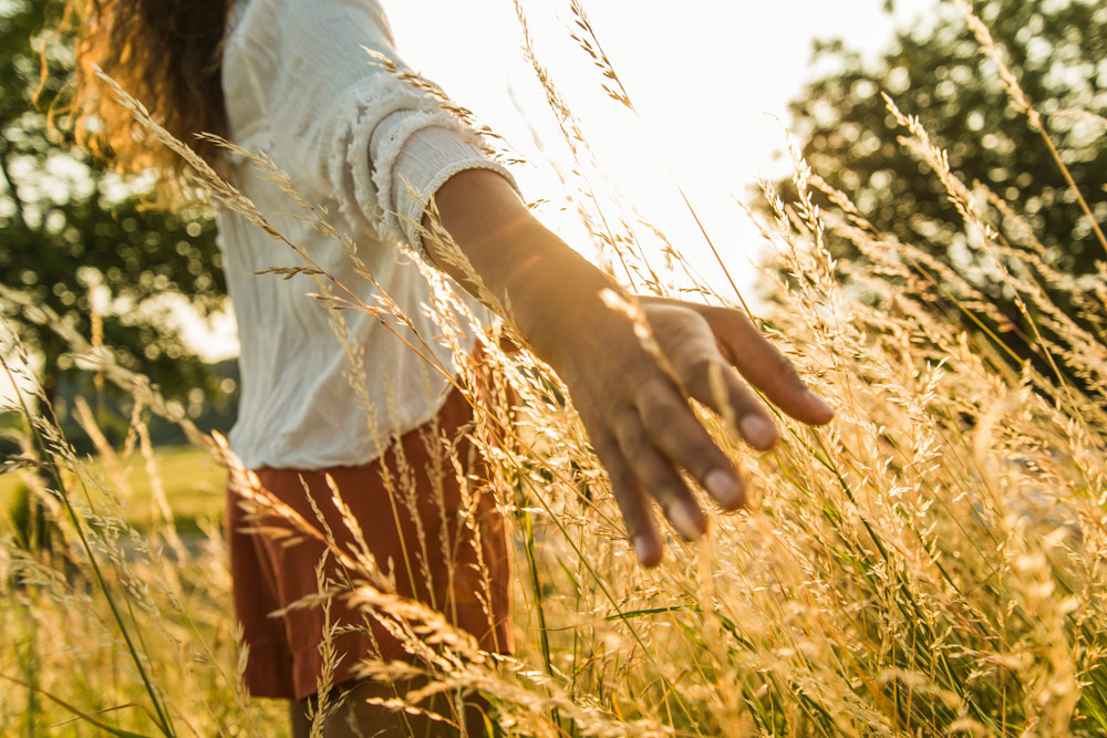 Närbild när en person som går på en äng i solnedgången och drar med handen över långa grässtrån.